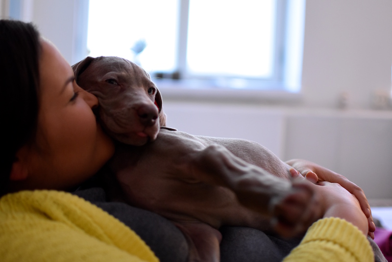 Stella DSC_0096